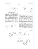 PYRROLO[1,2-f][1,2,4]TRIAZINES USEFUL FOR TREATING RESPIRATORY SYNCITIAL     VIRUS INFECTIONS diagram and image