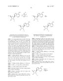 PYRROLO[1,2-f][1,2,4]TRIAZINES USEFUL FOR TREATING RESPIRATORY SYNCITIAL     VIRUS INFECTIONS diagram and image