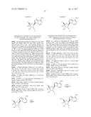 PYRROLO[1,2-f][1,2,4]TRIAZINES USEFUL FOR TREATING RESPIRATORY SYNCITIAL     VIRUS INFECTIONS diagram and image