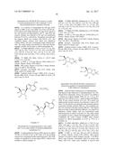 PYRROLO[1,2-f][1,2,4]TRIAZINES USEFUL FOR TREATING RESPIRATORY SYNCITIAL     VIRUS INFECTIONS diagram and image