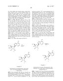 PYRROLO[1,2-f][1,2,4]TRIAZINES USEFUL FOR TREATING RESPIRATORY SYNCITIAL     VIRUS INFECTIONS diagram and image