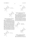 PYRROLO[1,2-f][1,2,4]TRIAZINES USEFUL FOR TREATING RESPIRATORY SYNCITIAL     VIRUS INFECTIONS diagram and image