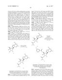 PYRROLO[1,2-f][1,2,4]TRIAZINES USEFUL FOR TREATING RESPIRATORY SYNCITIAL     VIRUS INFECTIONS diagram and image