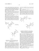 PYRROLO[1,2-f][1,2,4]TRIAZINES USEFUL FOR TREATING RESPIRATORY SYNCITIAL     VIRUS INFECTIONS diagram and image