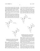 PYRROLO[1,2-f][1,2,4]TRIAZINES USEFUL FOR TREATING RESPIRATORY SYNCITIAL     VIRUS INFECTIONS diagram and image