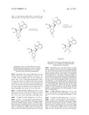 PYRROLO[1,2-f][1,2,4]TRIAZINES USEFUL FOR TREATING RESPIRATORY SYNCITIAL     VIRUS INFECTIONS diagram and image