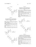 PYRROLO[1,2-f][1,2,4]TRIAZINES USEFUL FOR TREATING RESPIRATORY SYNCITIAL     VIRUS INFECTIONS diagram and image