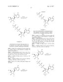 PYRROLO[1,2-f][1,2,4]TRIAZINES USEFUL FOR TREATING RESPIRATORY SYNCITIAL     VIRUS INFECTIONS diagram and image