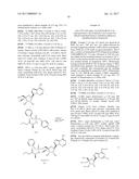 PYRROLO[1,2-f][1,2,4]TRIAZINES USEFUL FOR TREATING RESPIRATORY SYNCITIAL     VIRUS INFECTIONS diagram and image