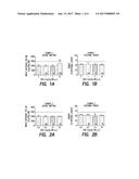 NOVEL PIPERIDINO-DIHYDROTHIENOPYRIMIDINE SULFOXIDES AND THEIR USE FOR     TREATING COPD AND ASTHMA diagram and image