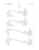 MDM2-BASED MODULATORS OF PROTEOLYSIS AND ASSOCIATED METHODS OF USE diagram and image