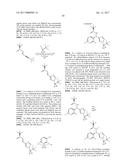 COT MODULATORS AND METHODS OF USE THEREOF diagram and image