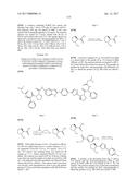 INHIBITORS OF HEPATITIS C VIRUS REPLICATION diagram and image