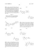 INHIBITORS OF HEPATITIS C VIRUS REPLICATION diagram and image