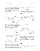 INHIBITORS OF HEPATITIS C VIRUS REPLICATION diagram and image