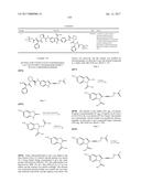 INHIBITORS OF HEPATITIS C VIRUS REPLICATION diagram and image