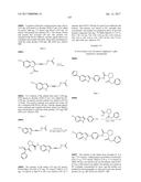 INHIBITORS OF HEPATITIS C VIRUS REPLICATION diagram and image