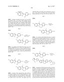 INHIBITORS OF HEPATITIS C VIRUS REPLICATION diagram and image