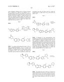 INHIBITORS OF HEPATITIS C VIRUS REPLICATION diagram and image