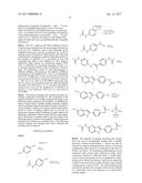 INHIBITORS OF HEPATITIS C VIRUS REPLICATION diagram and image