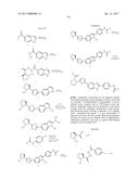 INHIBITORS OF HEPATITIS C VIRUS REPLICATION diagram and image