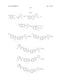 INHIBITORS OF HEPATITIS C VIRUS REPLICATION diagram and image