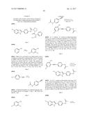 INHIBITORS OF HEPATITIS C VIRUS REPLICATION diagram and image