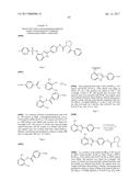 INHIBITORS OF HEPATITIS C VIRUS REPLICATION diagram and image