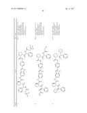 INHIBITORS OF HEPATITIS C VIRUS REPLICATION diagram and image