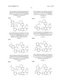 BENZOTHIAZOLE MACROCYCLES AS INHIBITORS OF HUMAN IMMUNODEFICIENCY VIRUS     REPLICATION diagram and image