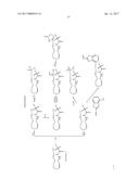 NOVEL CYP-EICOSANOID DERIVATIVES diagram and image