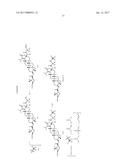 C-3 NOVEL TRITERPENONE WITH C-28 REVERSE AMIDE DERIVATIVES AS HIV     INHIBITORS diagram and image