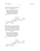 C-3 NOVEL TRITERPENONE WITH C-28 REVERSE AMIDE DERIVATIVES AS HIV     INHIBITORS diagram and image