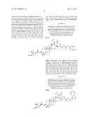 C-3 NOVEL TRITERPENONE WITH C-28 REVERSE AMIDE DERIVATIVES AS HIV     INHIBITORS diagram and image