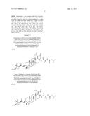 C-3 NOVEL TRITERPENONE WITH C-28 REVERSE AMIDE DERIVATIVES AS HIV     INHIBITORS diagram and image