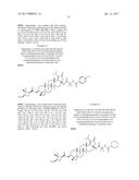 C-3 NOVEL TRITERPENONE WITH C-28 REVERSE AMIDE DERIVATIVES AS HIV     INHIBITORS diagram and image