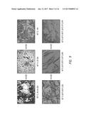 SOLUTION PHASE SYNTHESIS AND CRYSTALLIZATION OF BETA-TURN PEPTIDOMIMETIC     CYCLIC SALTS diagram and image