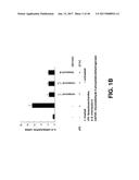 PYRROLIDINE CARBOXAMIDO DERIVATIVES AND METHODS FOR PREPARING AND USING     THE SAME diagram and image