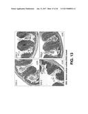 PYRROLIDINE CARBOXAMIDO DERIVATIVES AND METHODS FOR PREPARING AND USING     THE SAME diagram and image