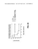 PYRROLIDINE CARBOXAMIDO DERIVATIVES AND METHODS FOR PREPARING AND USING     THE SAME diagram and image