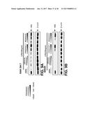 PYRROLIDINE CARBOXAMIDO DERIVATIVES AND METHODS FOR PREPARING AND USING     THE SAME diagram and image