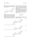 PYRROLIDINE CARBOXAMIDO DERIVATIVES AND METHODS FOR PREPARING AND USING     THE SAME diagram and image