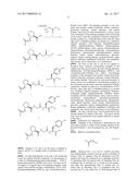 PYRROLIDINE CARBOXAMIDO DERIVATIVES AND METHODS FOR PREPARING AND USING     THE SAME diagram and image