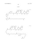 NOVEL PEPTIDES AND PEPTIDE DERIVATIVES AND USES THEREOF diagram and image