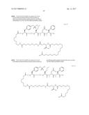 NOVEL PEPTIDES AND PEPTIDE DERIVATIVES AND USES THEREOF diagram and image