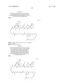 NOVEL PEPTIDES AND PEPTIDE DERIVATIVES AND USES THEREOF diagram and image