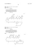 NOVEL PEPTIDES AND PEPTIDE DERIVATIVES AND USES THEREOF diagram and image