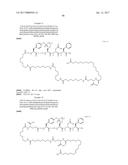 NOVEL PEPTIDES AND PEPTIDE DERIVATIVES AND USES THEREOF diagram and image