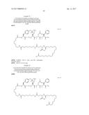 NOVEL PEPTIDES AND PEPTIDE DERIVATIVES AND USES THEREOF diagram and image