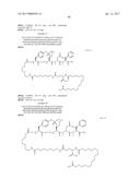 NOVEL PEPTIDES AND PEPTIDE DERIVATIVES AND USES THEREOF diagram and image